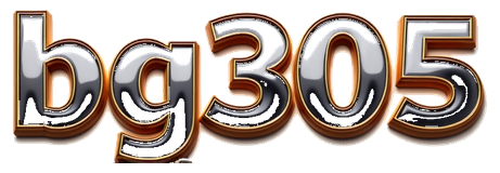 bg305 logo